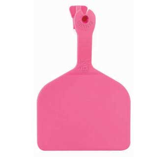Z Tag (50 pack) PINK