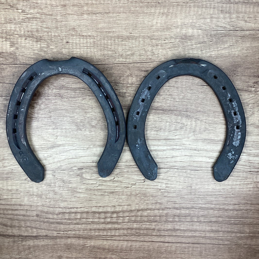 Workhorse 8 Hind Clip-DRAFT