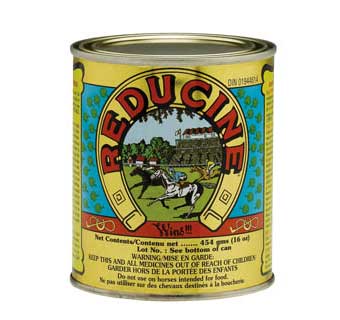 Reducine Absorbent 16.8oz