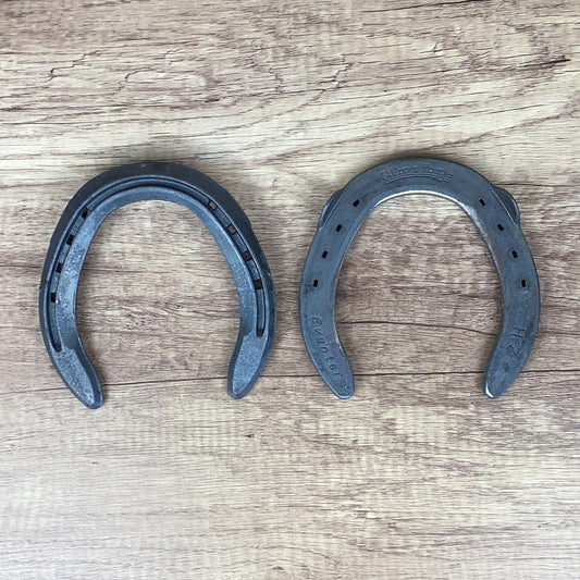 STC 2 Hind Eventer Clipped-PAIR