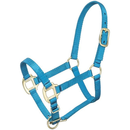 MINI HALTER TURQUOISE-HALTER : MINI