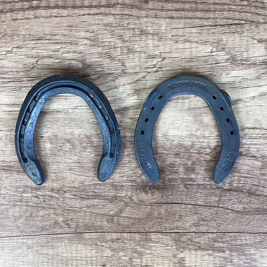 STC 000 Hind Eventer Clipped-PAIR