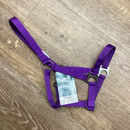 PONY HALTER ECO NY PURPLE-HALTER : PONY