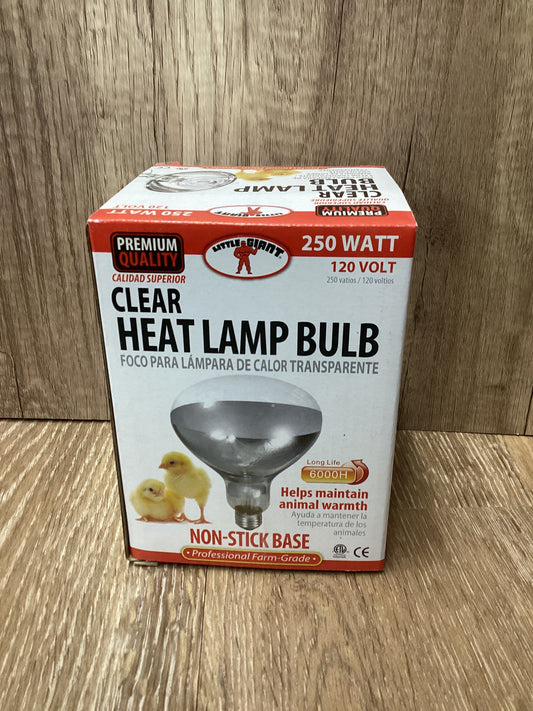 Clear Infrared Bulb 250 watt