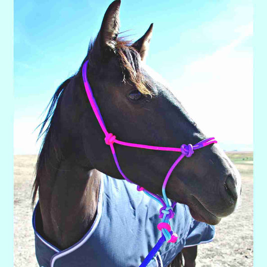 Aqua Poly Halter With Lead Rope
