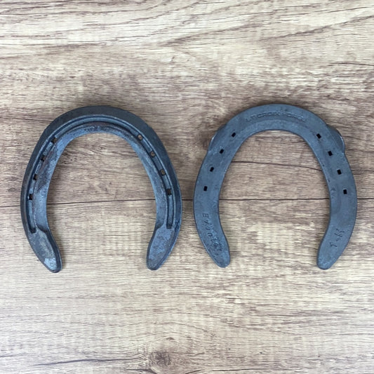 STC 1 Hind Eventer Clipped-PAIR