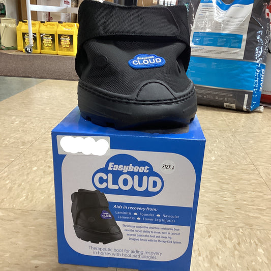 EASYBOOT CLOUD, SIZE 4