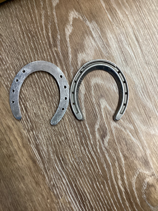 TBR PAIR Queens Plate Hinds 3