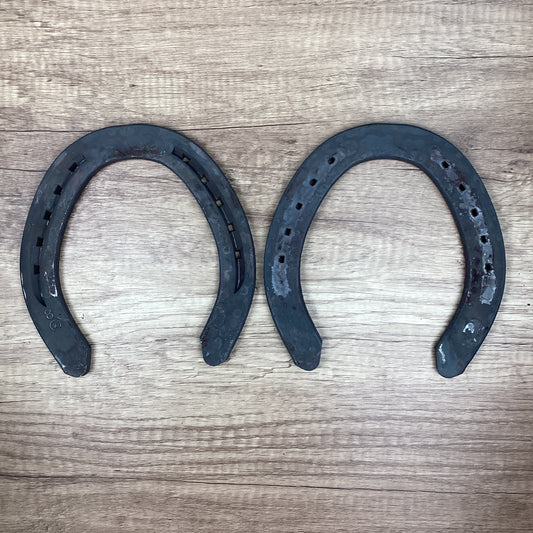 Workhorse 8 Hind UNCLIPPED-DRAFT