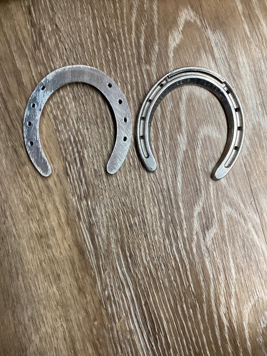 TBR PAIR Queens Plate Hinds 4