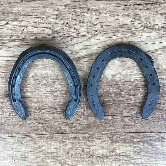 STC 0 Hind Eventer Clipped-PAIR