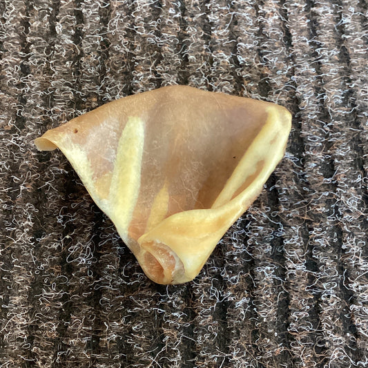 Pig Ears EACH