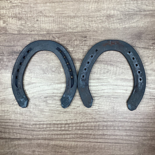 Workhorse 6 Hind UNCLIPPED-DRAFT