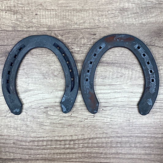 Workhorse 5 Hind UNCLIPPED-DRAFT