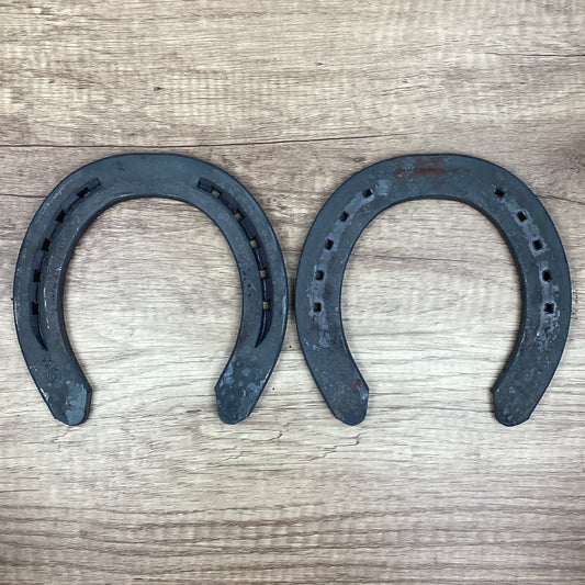 Workhorse 5 Front UNCLIPPED-DRAFT