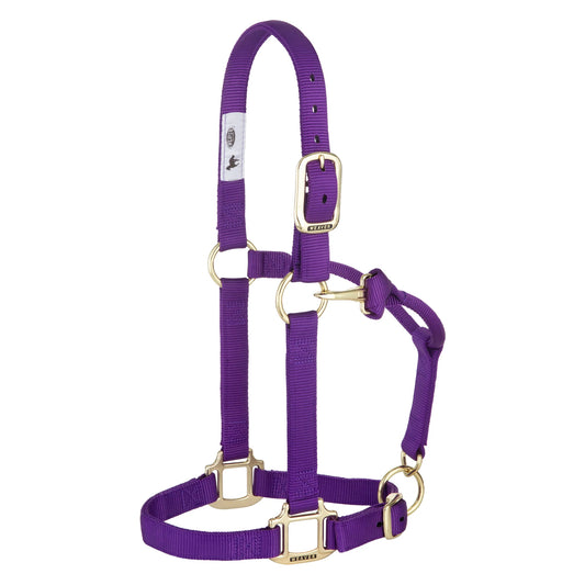 2026 WV Halter: Original Adjustable, Average, Purple