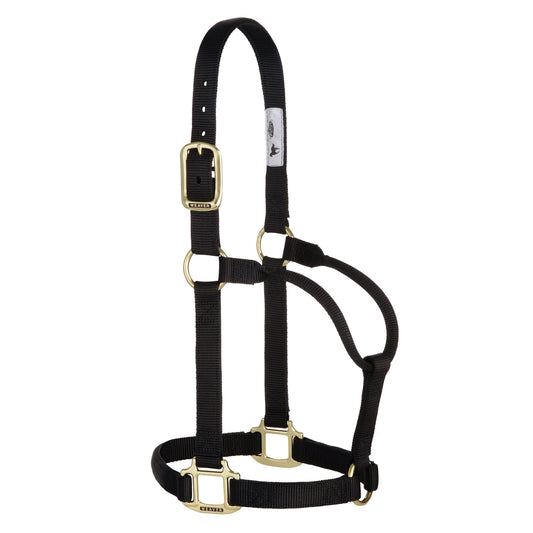 2026 WV Halter: Original Non-Adjustable, Yearling, Black
