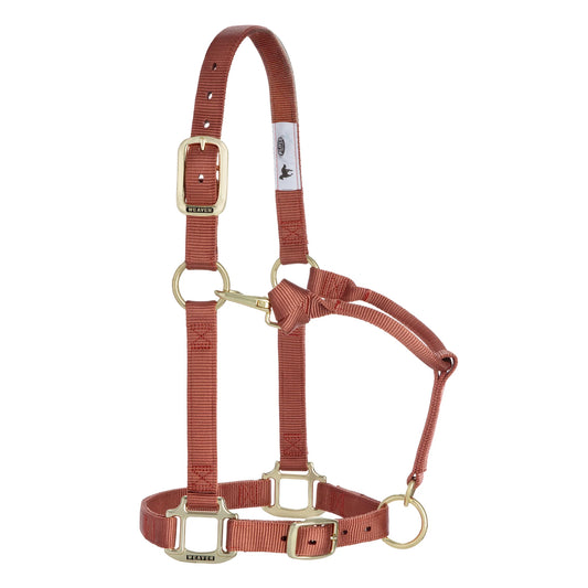2026 WV Halter: Original Adjustable, Average, Cinnamon