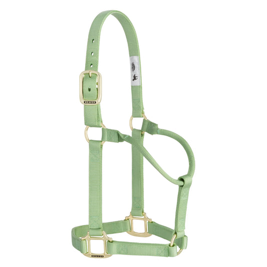 2026 WV Halter: Original Non-Adjustable, Small, Pistachio