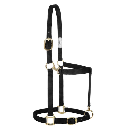 2026 WV Halter: Original Adjustable, Draft, Average, Black