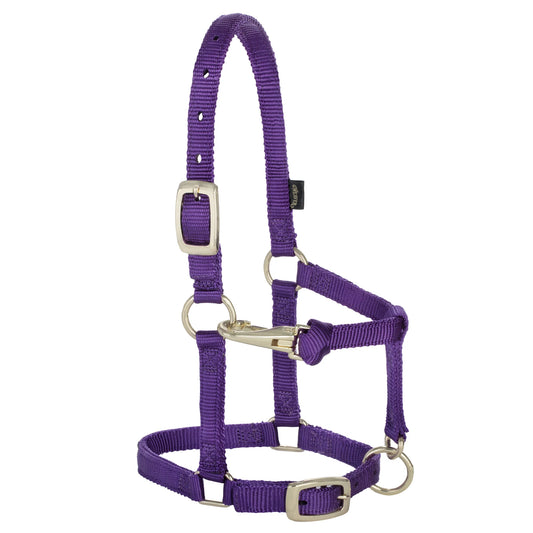 2026 WV Halter: Original, Adjustable, Mini, Purple