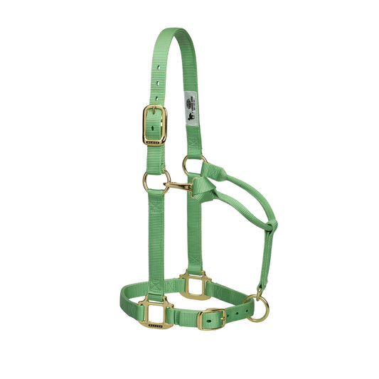 2026 WV Halter: Original Adjustable, Weanling/Pony, Pistachio