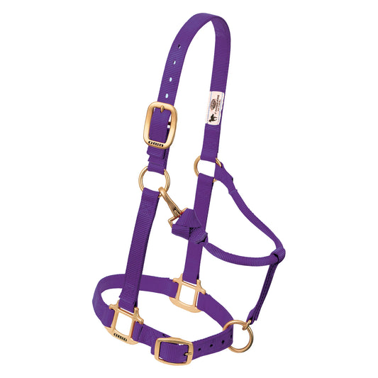 2026 WV Halter: Original Adjustable, Suckling, Purple