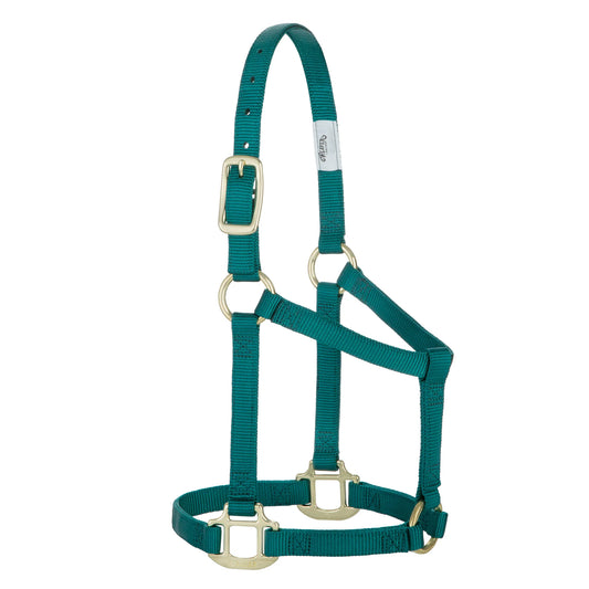 2026 WV Halter: Original Non-Adjustable, Weanling/Pony, Teal