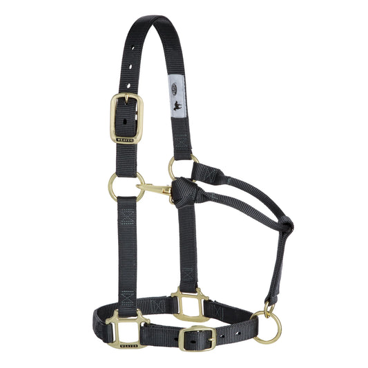 2026 WV Halter: Original Adjustable, Small, Graphite