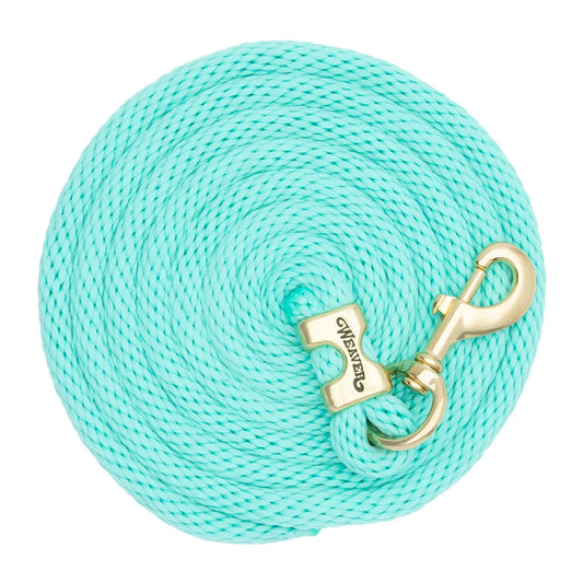 2026 WV Lead: Poly Rope, Brass Snap, 10' Mint