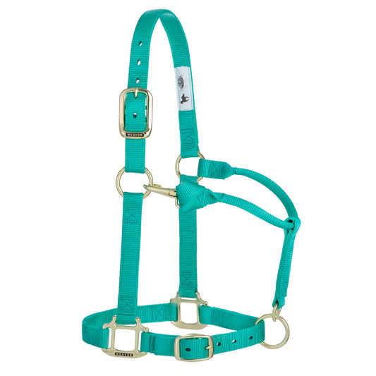 2026 WV Halter: Original Adjustable, Average, Emerald Green