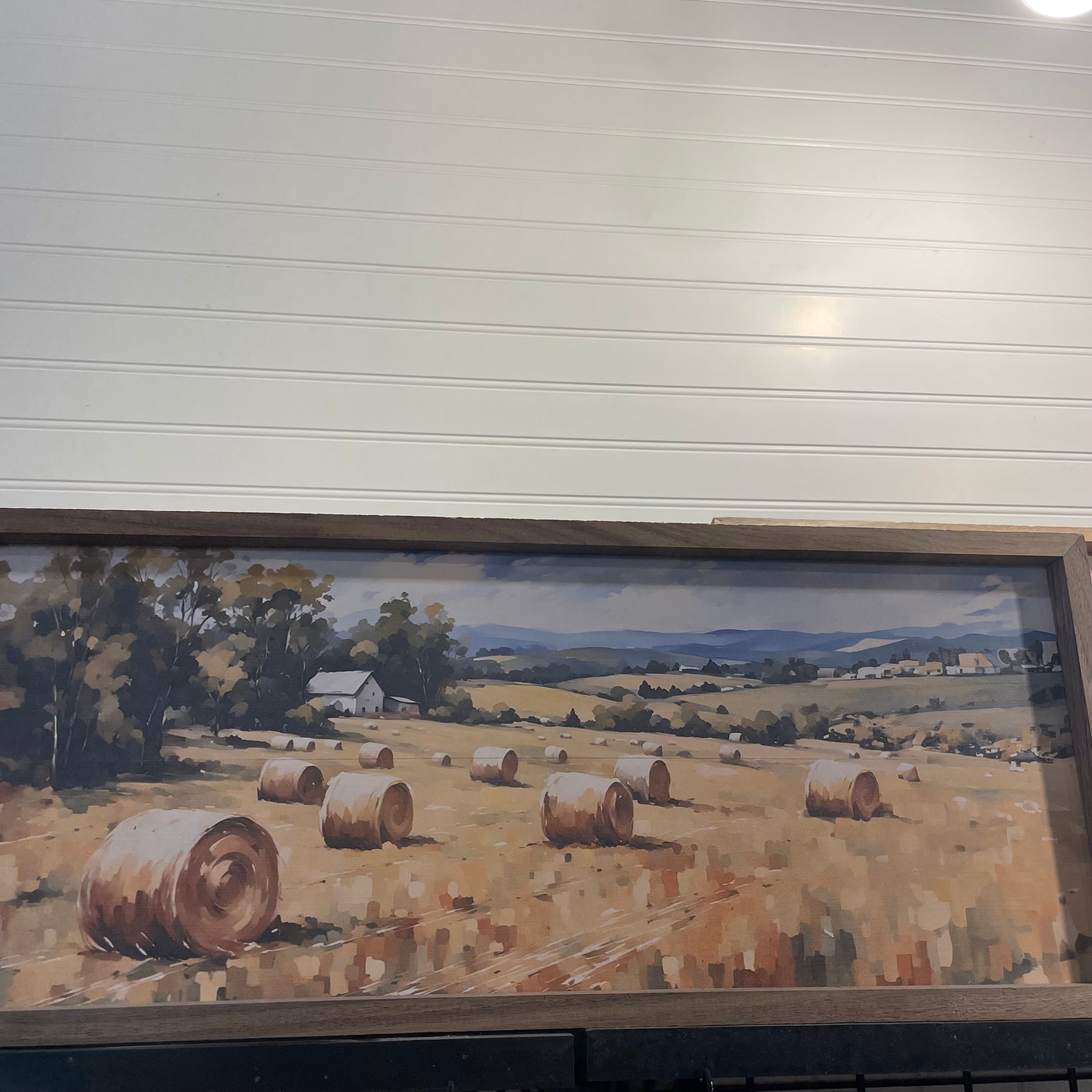 FRAMED: FIELD OF ROUND BALES 24 X 8