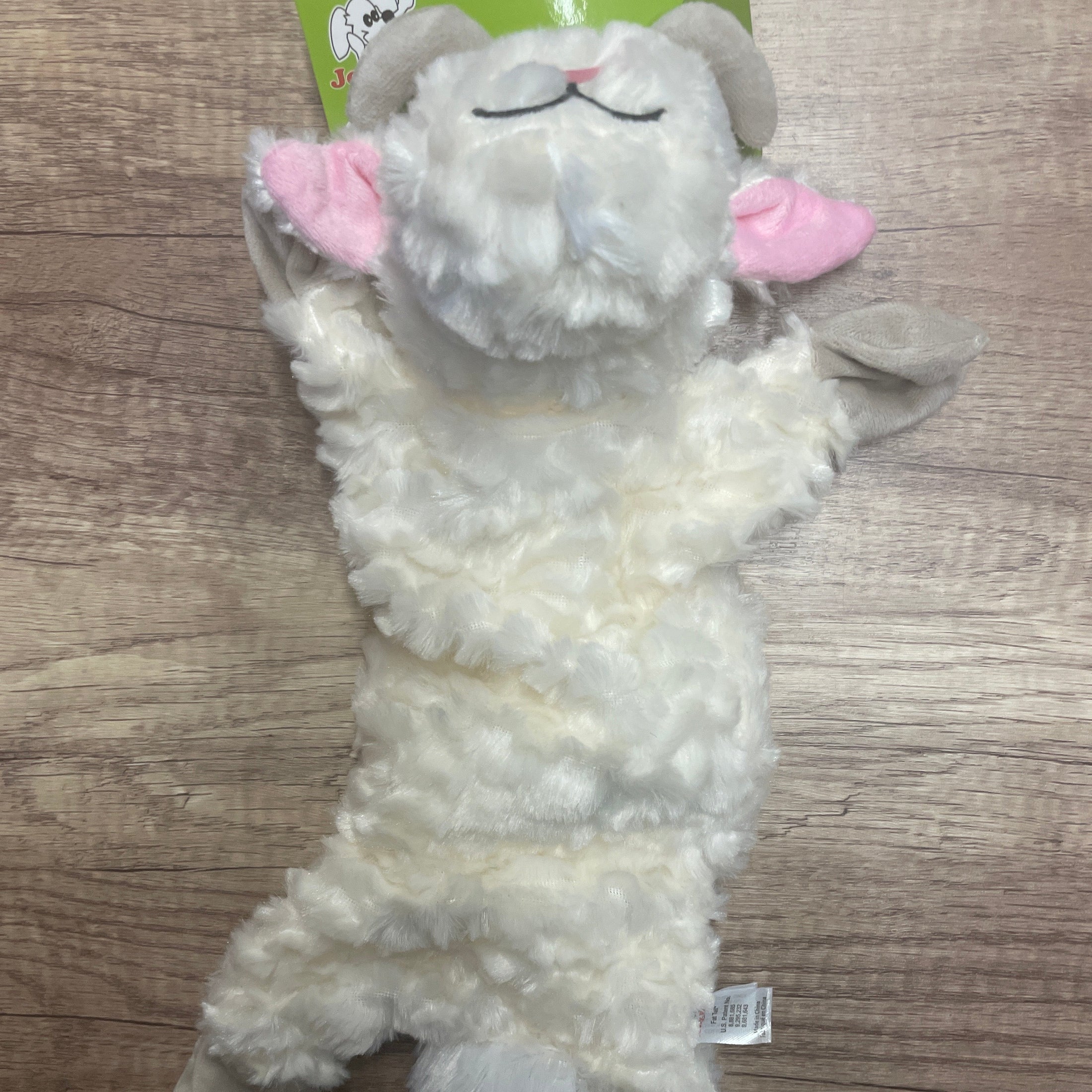 FAT TAIL LARGE BILLY GOAT