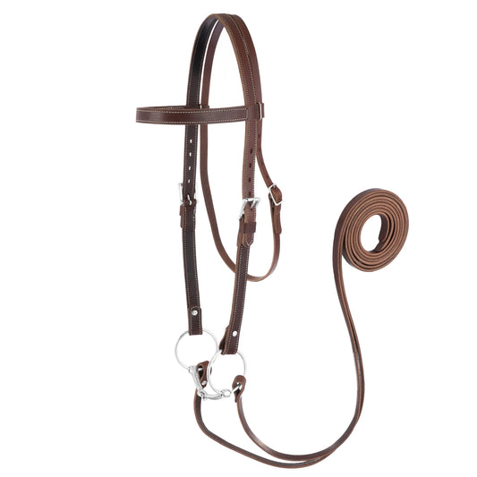 2026 WV Draft: Draft Horse Riding Bridle, Average, Set