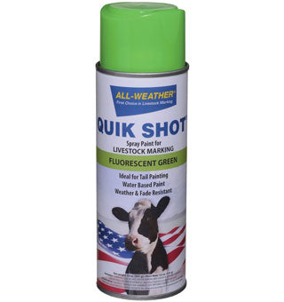 Quik Shot Spray Paint Green