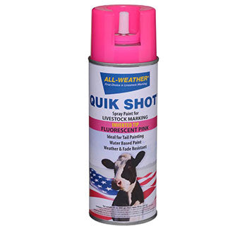 Quik Shot Spray Paint Pink