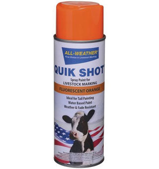 Quik Shot Spray Paint Orange