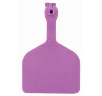 Z Tag (50 pack) PURPLE