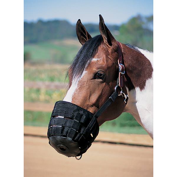 Grazing Muzzle - MEDIUM-Horse