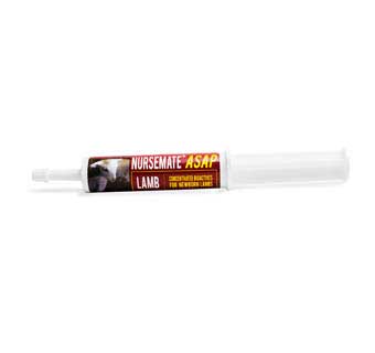 NURSEMATE ASAP LAMB 30ML