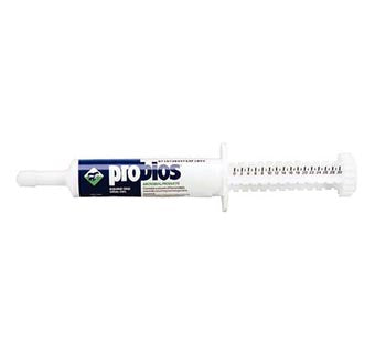 Equine Probios 30g