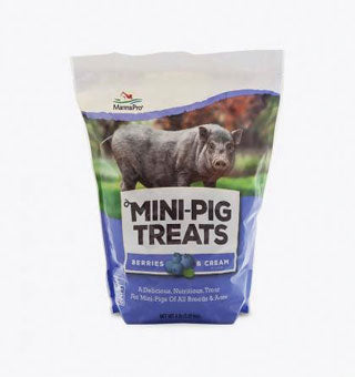 MINI PIG TREAT, BERRY & CREAM-4LB