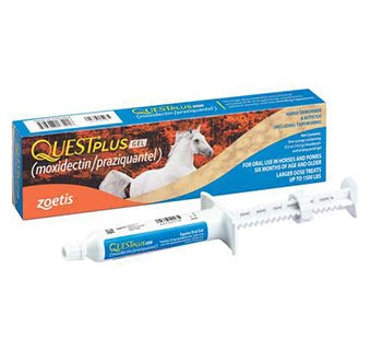 Quest Plus Gel