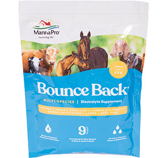 BOUNCE BACK ELECTROLYTE SUPP 4OZ.
