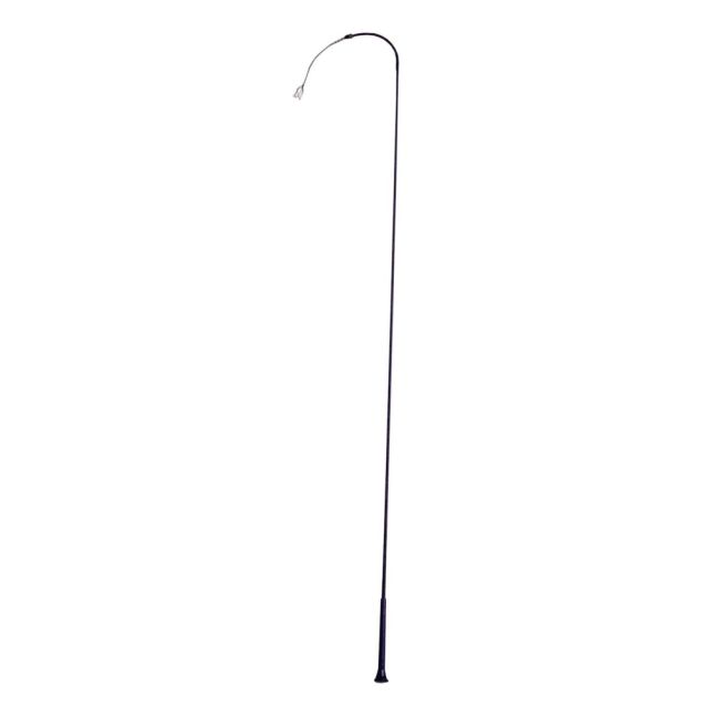 TRAINING WHIP 36"