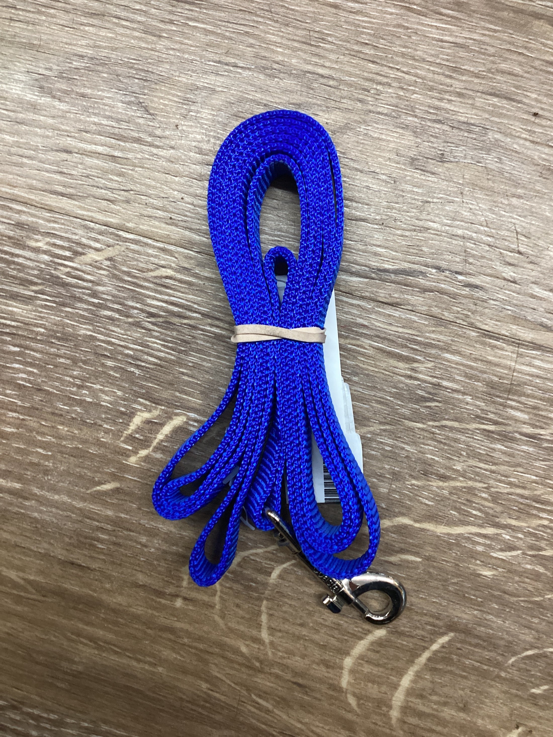 BLUE LEASH, 5/8" X 6' NYLON