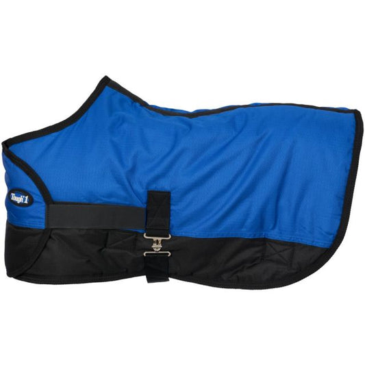 Mini / Foal Expand Blanket M-BLANKET : Medium