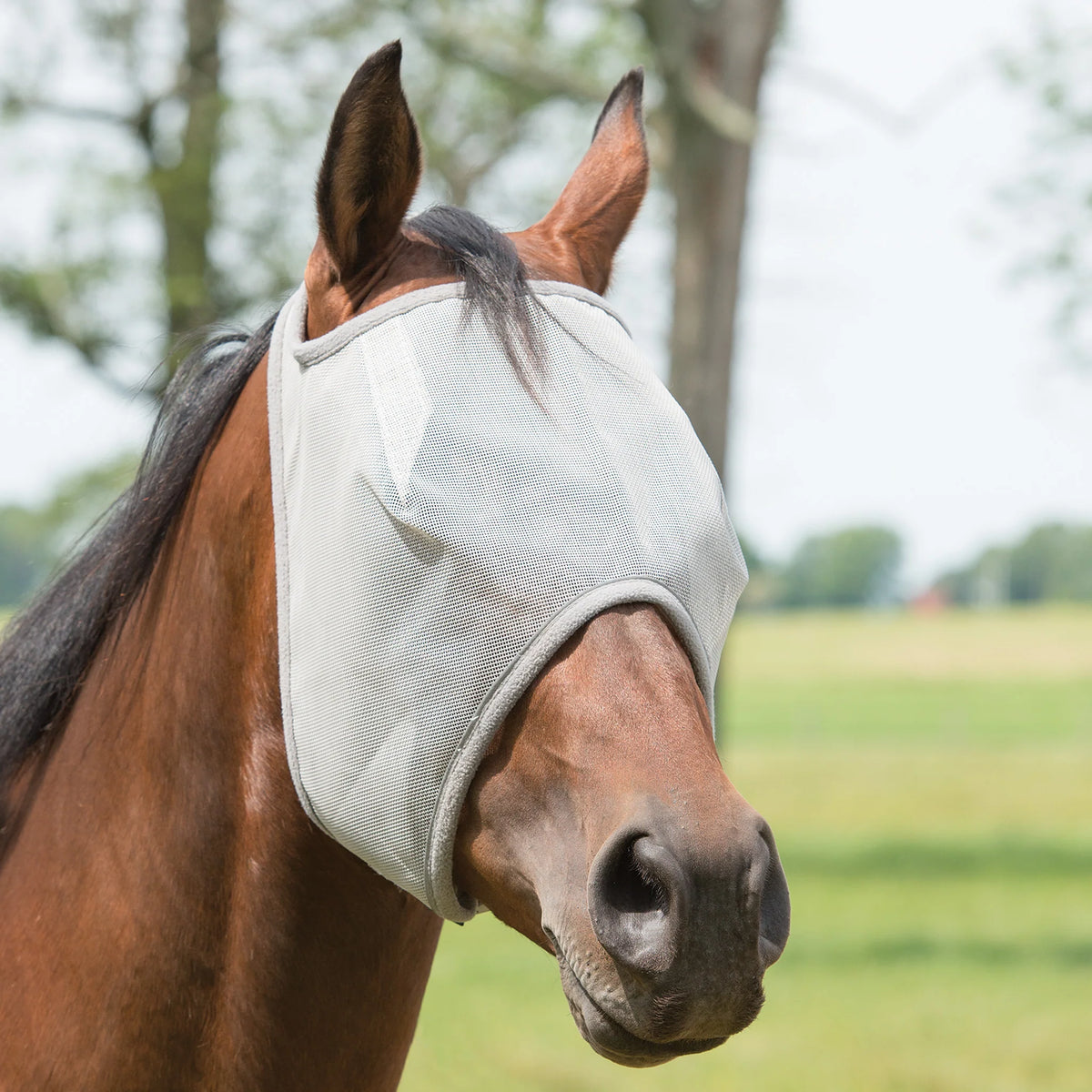 Fly Mask Without Ears Gray M