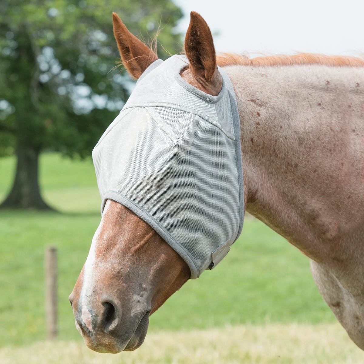 Fly Mask Without Ears Gray L