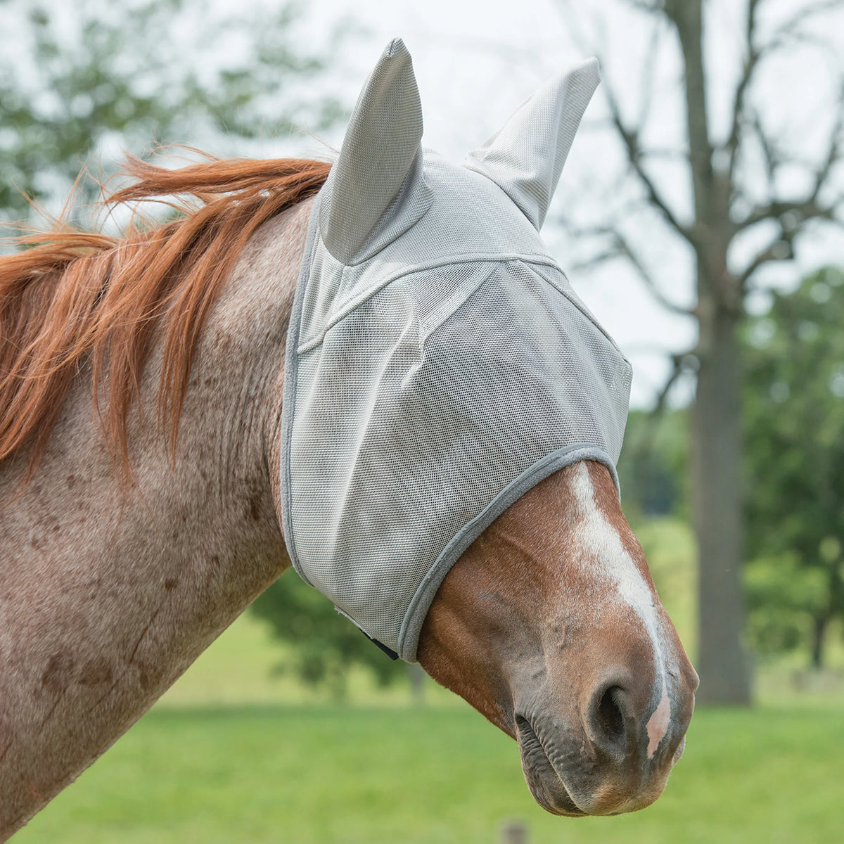 Fly Mask w/Ears Gray L